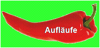 Auflaufgerichte