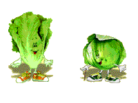 Kartoffel - Bohnen - Salat