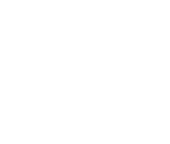 Geschnetzelte Nudel-Pute