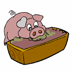 Gebratener Reis mit Schwein